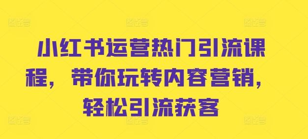 小红书运营热门引流课程，带你玩转内容营销，轻松引流获客-失落博客