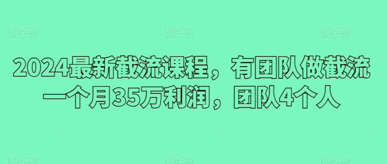 2024最新截流课程，有团队做截流一个月35万利润，团队4个人-失落博客