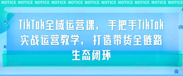 TikTok全域运营课，手把手TikTok实战运营教学，打造带货全链路生态闭环-失落博客