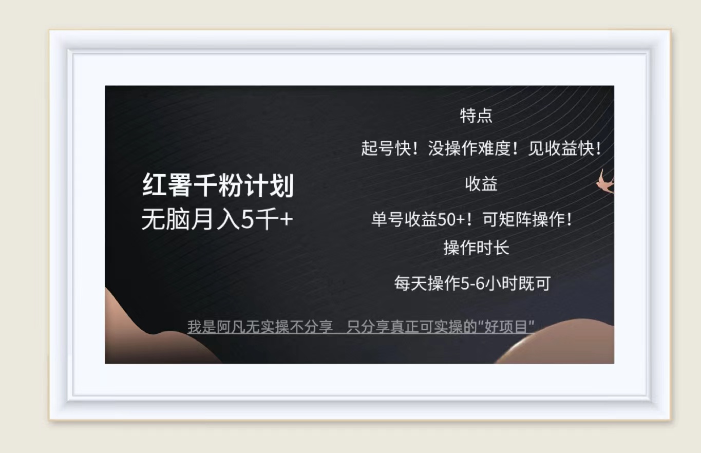 （12560期）红薯千粉计划无脑月入5千+！既做既赚！-失落博客