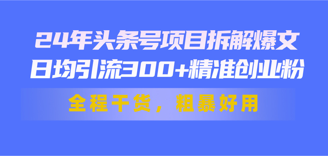 24年头条号项目拆解爆文，日均引流300+精准创业粉，全程干货，粗暴好用-失落博客