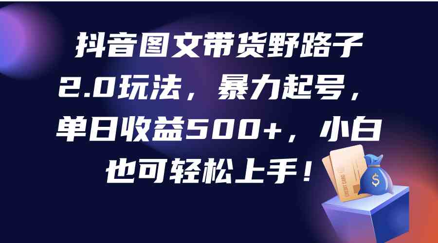 （9790期）抖音图文带货野路子2.0玩法，暴力起号，单日收益500+，小白也可轻松上手！-失落博客