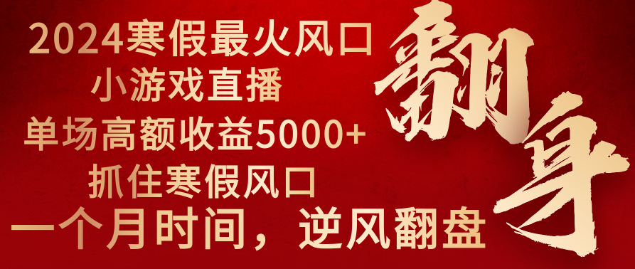 2024年最火寒假风口项目 小游戏直播 单场收益5000+抓住风口 一个月直接提车-失落博客