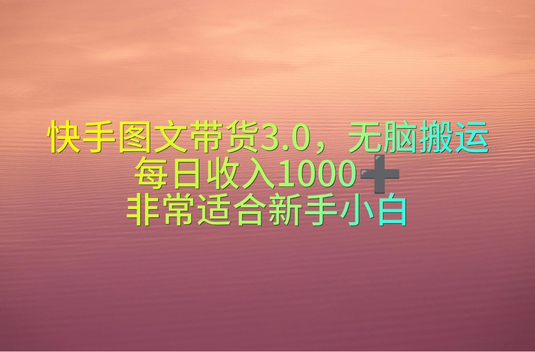 （10252期）快手图文带货3.0，无脑搬运，每日收入1000＋，非常适合新手小白-失落博客