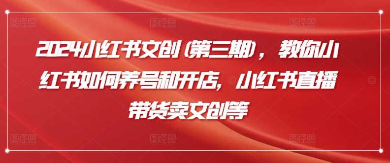 2024小红书文创(第三期)，教你小红书如何养号和开店，小红书直播带货卖文创等-失落博客