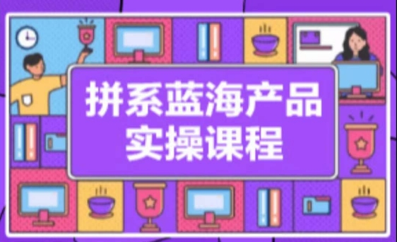 拼系冷门蓝海产品实操课程，从注册店铺到选品上架到流量维护环环相扣-失落博客
