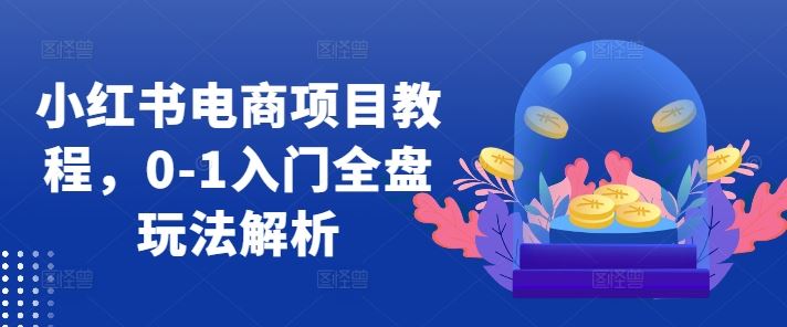 小红书电商项目教程，0-1入门全盘玩法解析-失落博客