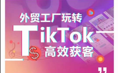 外贸工厂玩转TikTok高效获客，多种引流方式与账号定位技巧，拆解爆款短视频打造成功案例-失落博客