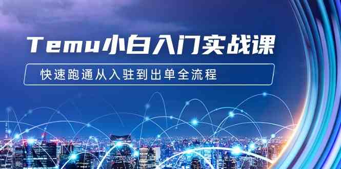 （9295期）Temu小白入门实战课：跨境拼多多电商培训 快速跑通从入驻到出单全流程-12节-失落博客