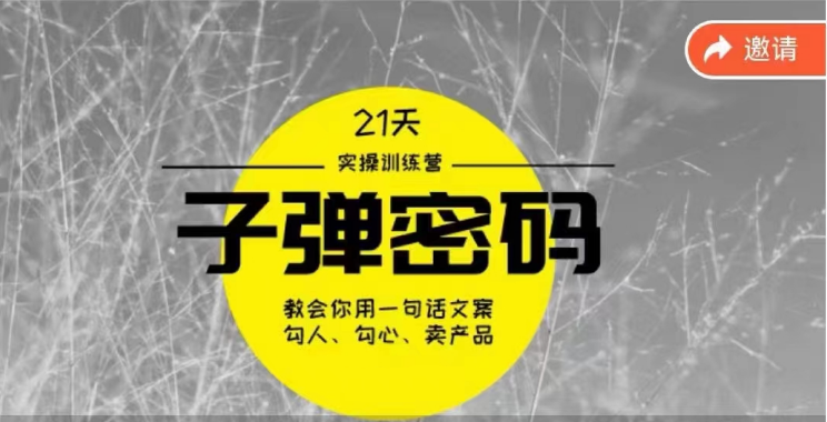 《子弹密码训练营》用一句话文案勾人勾心卖产品，21天学到顶尖文案大师策略和技巧-失落博客