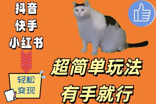 超简单玩法，有手就行，靠猫咪视频日入500+【揭秘】-失落博客