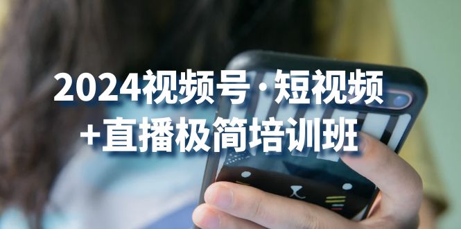2024视频号短视频+直播极简培训班：抓住视频号风口，流量红利-失落博客