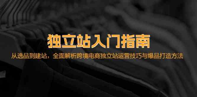 独立站入门指南：从选品到建站，全面解析跨境电商独立站运营技巧与爆品打造方法-失落博客