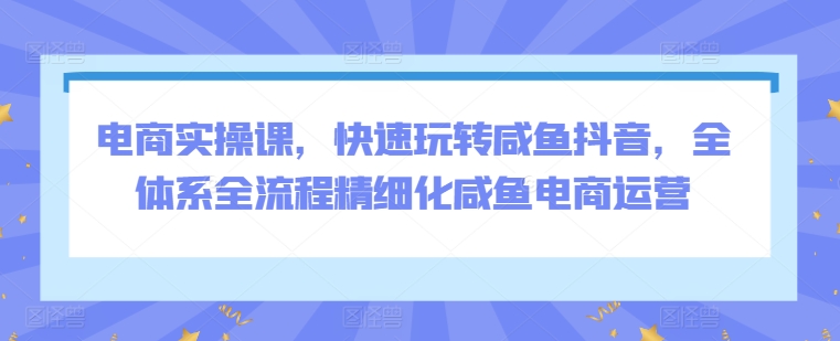 电商实操课，快速玩转咸鱼抖音，全体系全流程精细化咸鱼电商运营-失落博客