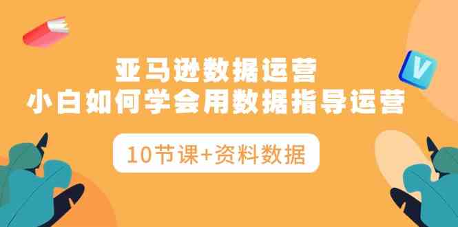 （10158期）亚马逊数据运营，小白如何学会用数据指导运营（10节课+资料数据）-失落博客
