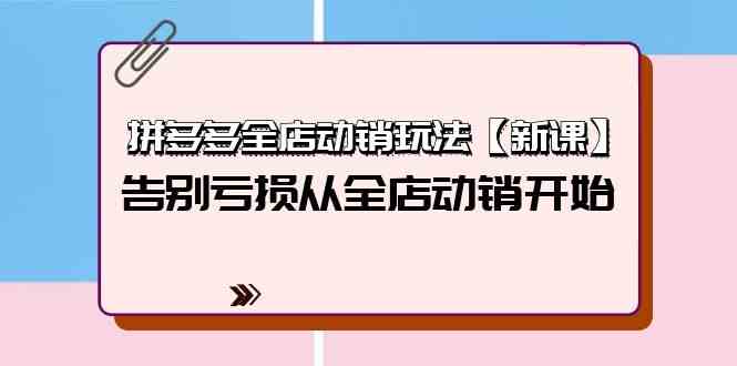 （9974期）拼多多全店动销玩法【新课】，告别亏损从全店动销开始（4节视频课）-失落博客