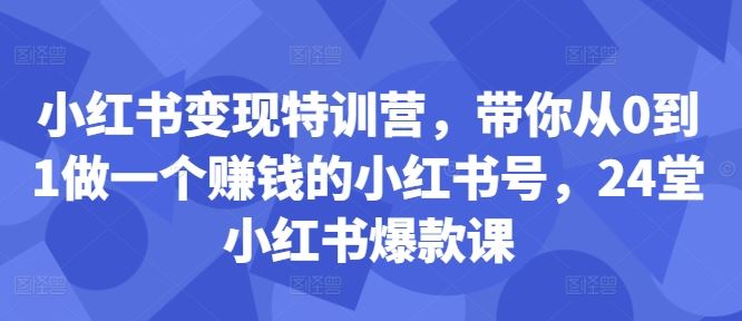 小红书变现特训营，带你从0到1做一个赚钱的小红书号，24堂小红书爆款课-失落博客