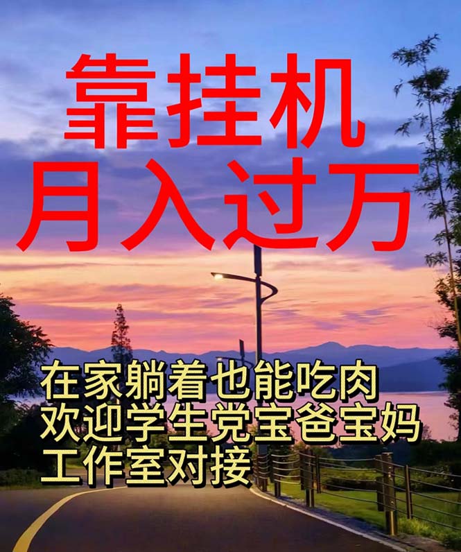 （10838期）靠挂机，日入1000+，躺着也能吃肉，适合宝爸宝妈学生党工作室，电脑手…-失落博客