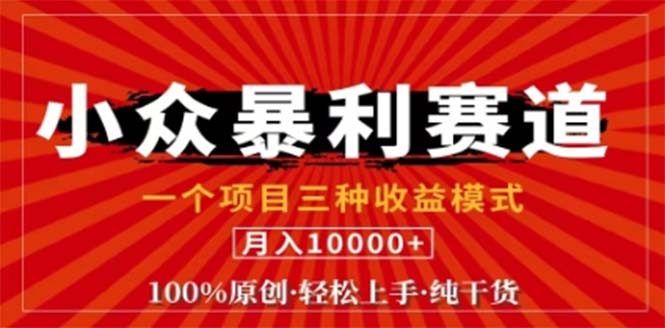 视频号最新爆火赛道，三种可收益模式，0粉新号条条原创条条热门 日入1000+-失落博客