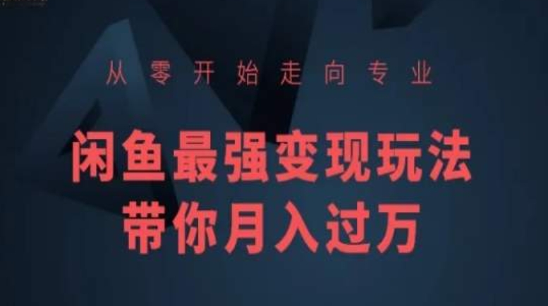 从零开始走向专业，闲鱼最强变现玩法带你月入过万-失落博客