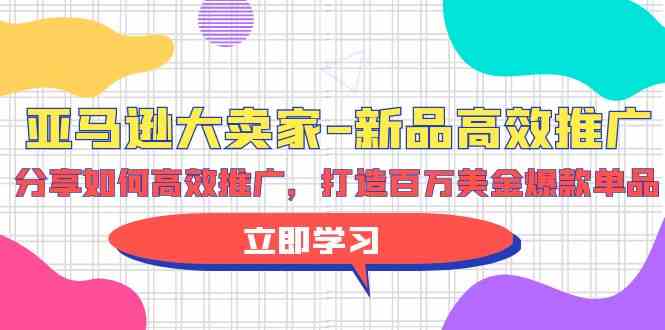 （9945期）亚马逊 大卖家-新品高效推广，分享如何高效推广，打造百万美金爆款单品-失落博客