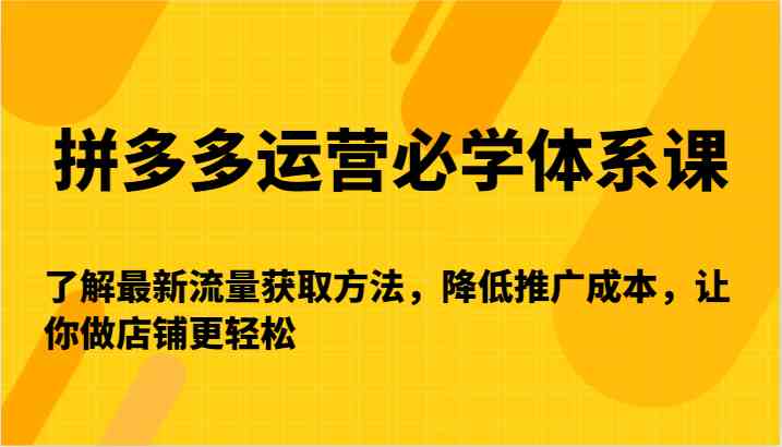 拼多多运营必学体系课-了解最新流量获取方法，降低推广成本，让你做店铺更轻松-失落博客