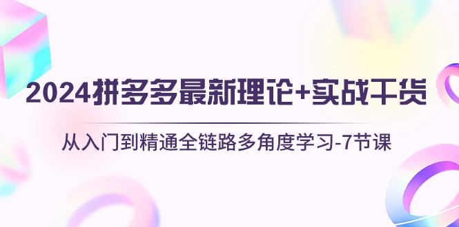 （10816期）2024拼多多 最新理论+实战干货，从入门到精通全链路多角度学习-7节课-失落博客