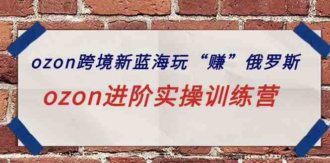 （9800期）ozon跨境新蓝海玩“赚”俄罗斯，ozon进阶实操训练营-失落博客