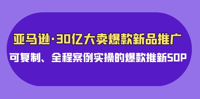 亚马逊30亿大卖爆款新品推广，可复制、全程案例实操的爆款推新SOP-失落博客