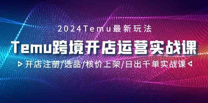 2024Temu跨境开店运营实战课，开店注册/选品/核价上架/日出千单实战课-失落博客