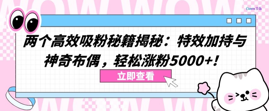 两个高效吸粉秘籍揭秘：特效加持与神奇布偶，轻松涨粉5000+-失落博客