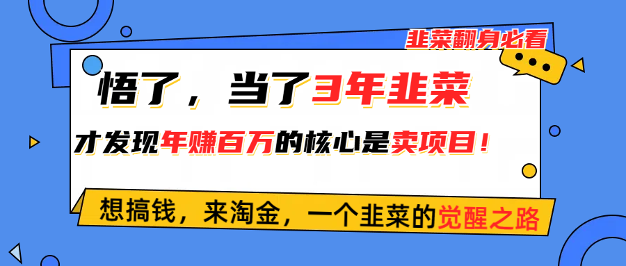 （10759期）悟了，当了3年韭菜，才发现网赚圈年赚100万的核心是卖项目，含泪分享！-失落博客