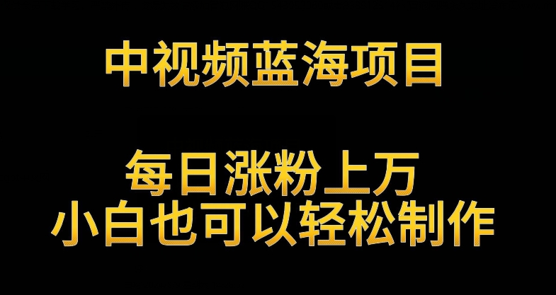 中视频蓝海项目，解读英雄人物生平，每日涨粉上万，小白也可以轻松制作，月入过万不是梦-失落博客