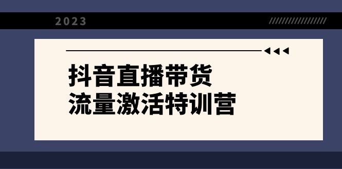 抖音直播带货-流量激活特训营，入行新手小白主播必学（21节课+资料）-失落博客