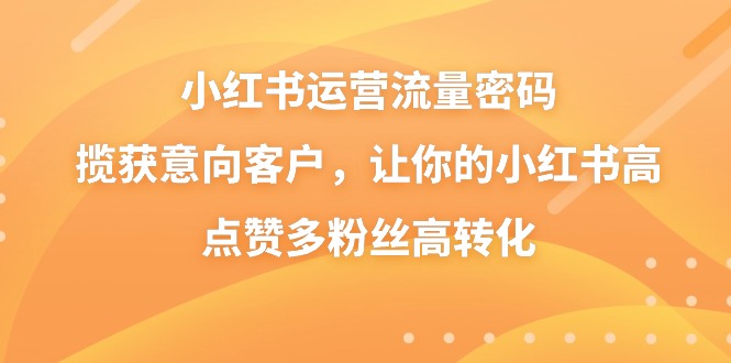小红书运营流量密码，揽获意向客户，让你的小红书高点赞多粉丝高转化-失落博客