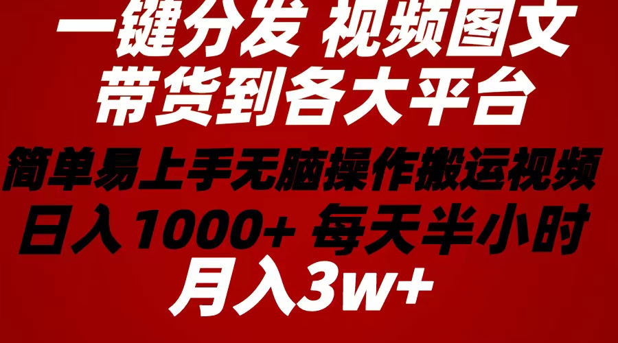 （10667期）2024年 一键分发带货图文视频  简单易上手 无脑赚收益 每天半小时日入1…-失落博客