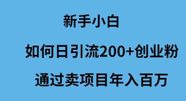 （9668期）新手小白如何日引流200+创业粉通过卖项目年入百万-失落博客