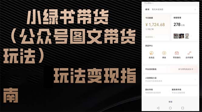 （12902期）小绿书带货（公众号图文带货玩法）玩法变现指南-失落博客