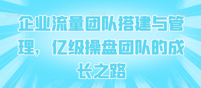 企业流量团队搭建与管理，亿级操盘团队的成长之路-失落博客