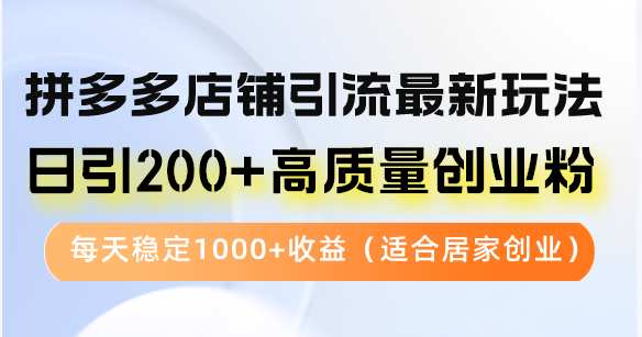 （12893期）拼多多店铺引流最新玩法，日引200+高质量创业粉，每天稳定1000+收益（…-失落博客