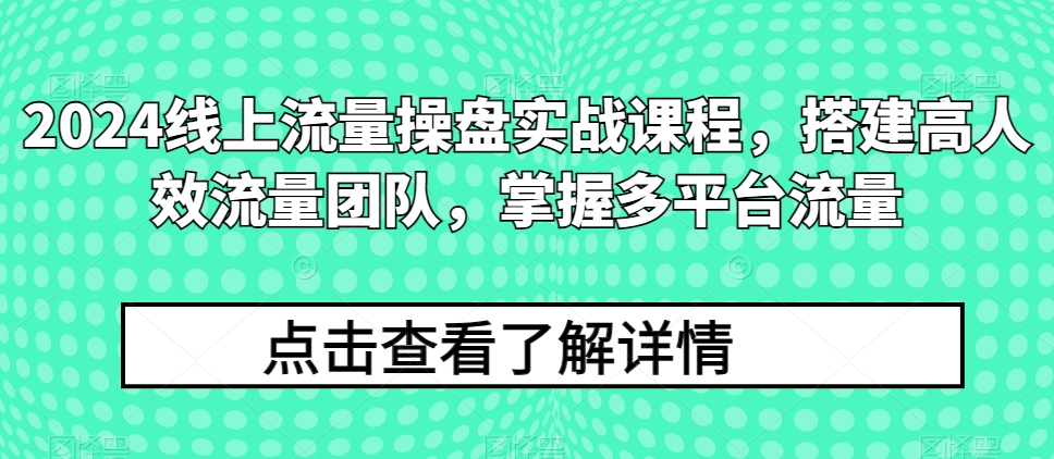 2024线上流量操盘实战课程，搭建高人效流量团队，掌握多平台流量-失落博客