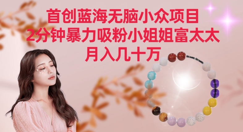 首创蓝海无脑小众项目，2分钟暴力吸粉小姐姐富太太，月入几十万-失落博客