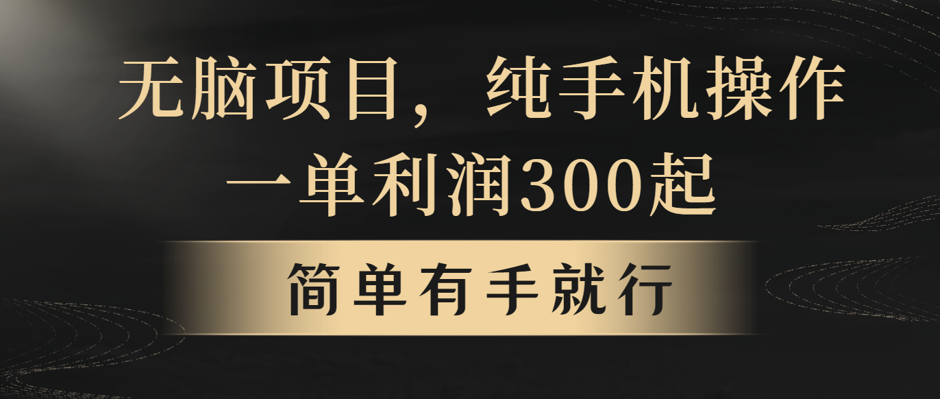 （10699期）无脑项目，一单几百块，轻松月入5w+，看完就能直接操作-失落博客