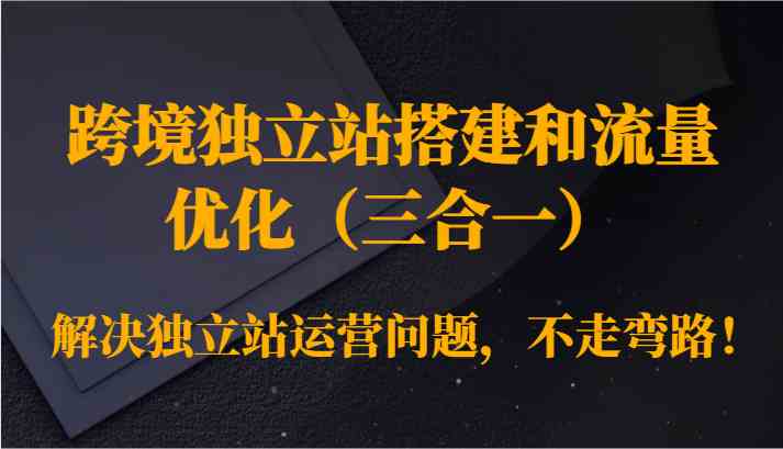 跨境独立站搭建和流量优化（三合一）解决独立站运营问题，不走弯路！-失落博客