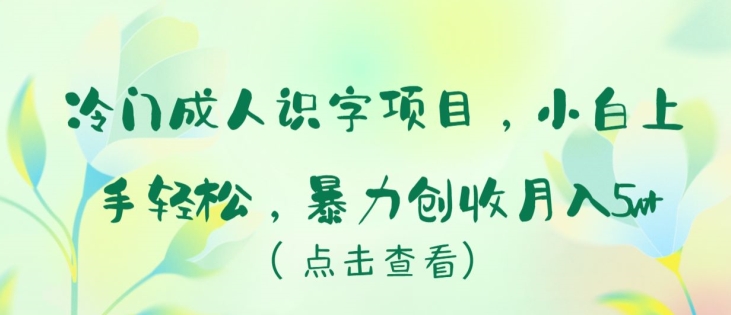 冷门成人识字项目，小白上手轻松，暴力创收月入5w+-失落博客