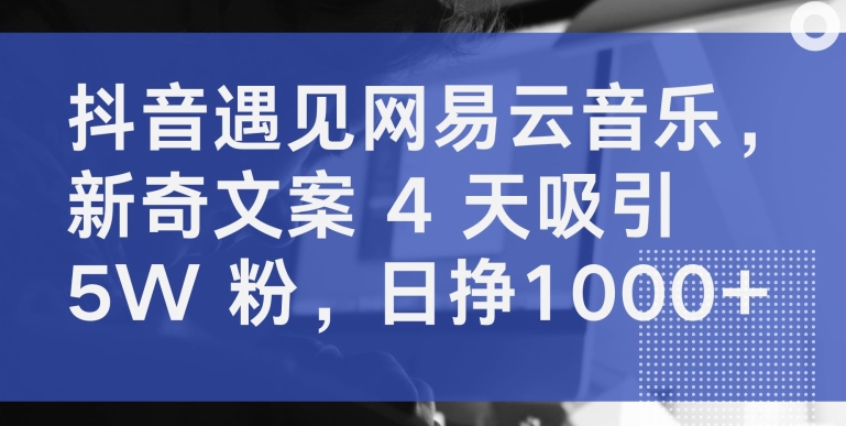 抖音遇见网易云音乐，新奇文案 4 天吸引 5W 粉，日挣1000+-失落博客