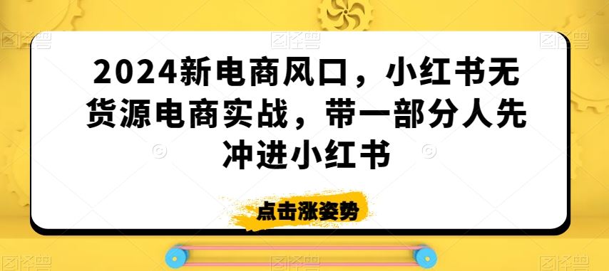 2024新电商风口，小红书无货源电商实战，带一部分人先冲进小红书-失落博客