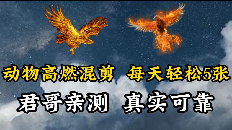 动物超燃混剪，每天轻松5张，剪辑简单大家爱看-失落博客