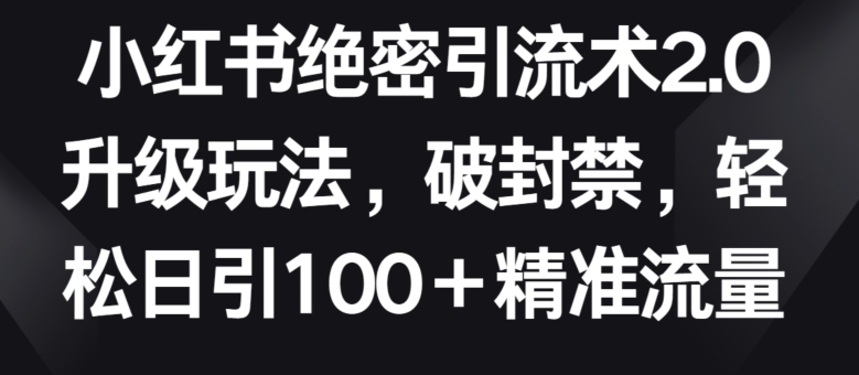 小红书绝密引流术2.0升级玩法，破封禁，轻松日引100+精准流量-失落博客