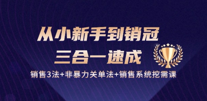 从小新手到销冠 三合一速成：销售3法+非暴力关单法+销售系统挖需课 (27节)-失落博客